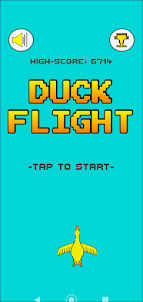 Duck Flight