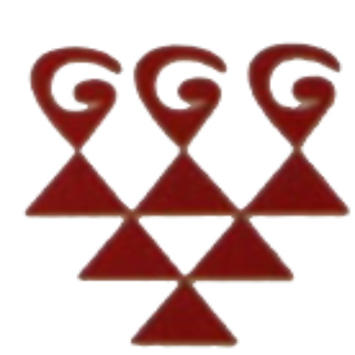 Smart Self Study logo
