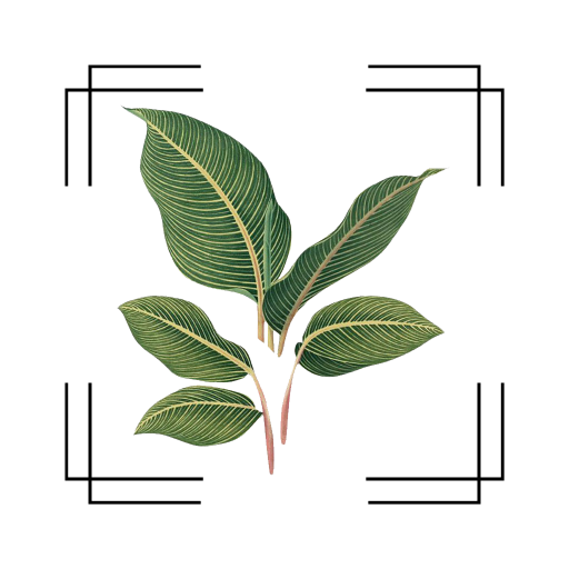 VerdiVista Plant Identifier logo