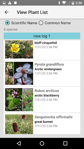 Alaska Wildflowers North Screen 3