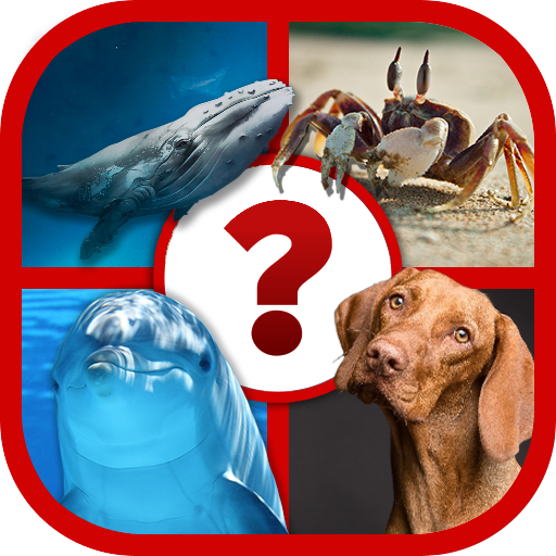 4 Pics Animal Quiz
