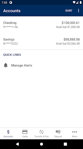 Capra Bank Screen 3
