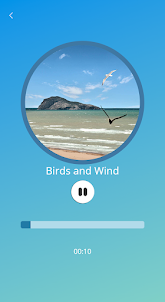 SoundScape - Ocean Sounds