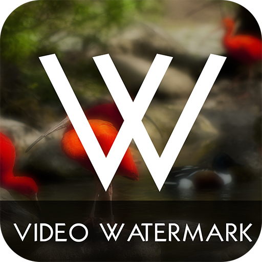 Video WaterMark logo