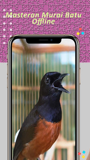 Cucak Ijo Gacor Dor Screen 3