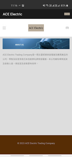 ACE Electric Screen 2