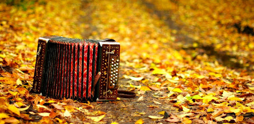 Accordion Ringtones