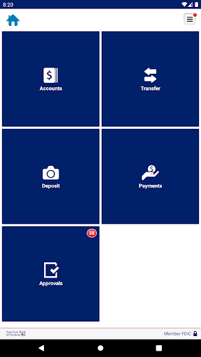 American Bank of Freedom Biz Screen 3