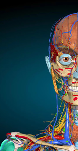 Anatomy & Physiology Screen 2
