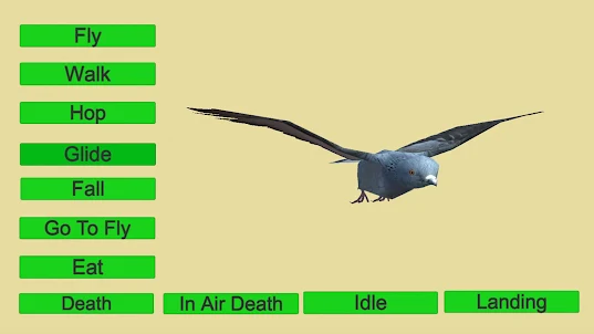 Pigeon Fly Animation Game