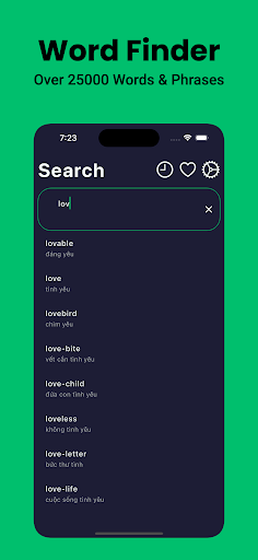 Vietnamese Dictionary English Screen 3