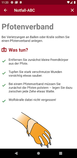 Erste Hilfe Hund Screen 3
