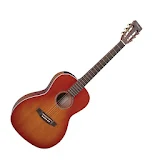 FINGERSTYLE 1 ACOUSTIC GUITAR icon