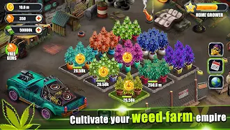 Game screenshot Weed Farm - Idle Tycoon Games mod apk