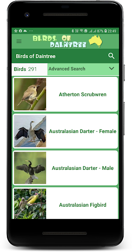 Australia Birds Daintree Demo Screen 2