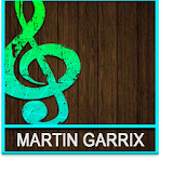 Martin Garrix Top Songs icon