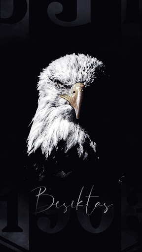 Android application Eagle Wallpapers screenshort