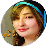Gul Panra icon