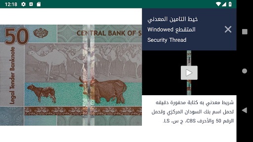 Sudanese Currency Screen 3