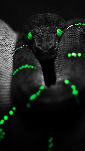 Amoled wallpaper Screen 3