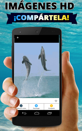 Fondos de pantalla de delfines