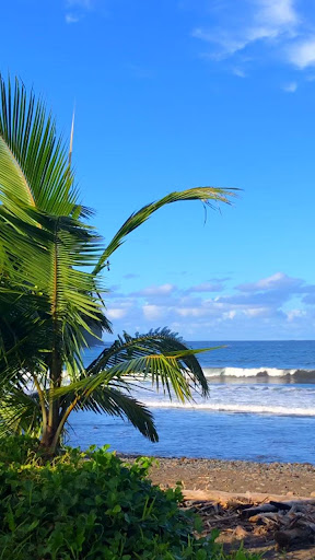 Android application tropical beach live wallpaper screenshort