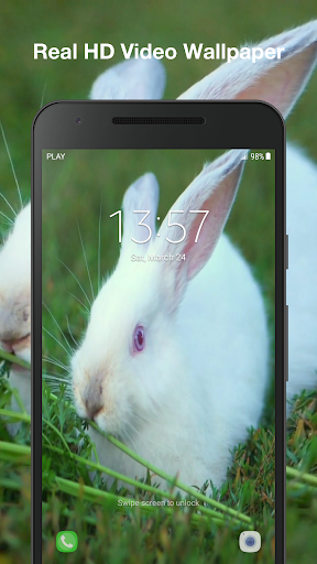 Cute Bunny Live Wallpaper Pro Screen 3