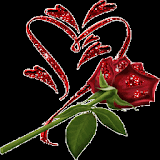 Red Shine Rose LWP icon