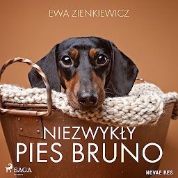 Obraz ikony: Niezwykły pies Bruno