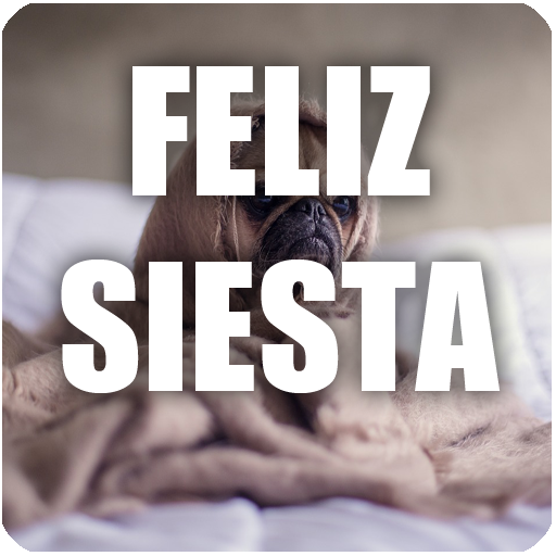 Siesta tiempo de descansar logo