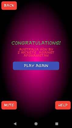 Spin Cricket: Run Spinner Game - Screenshot 4