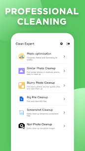 File Cleanup Expert 1