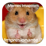 Memes Imagenes icon