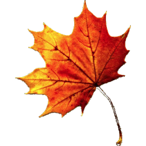 Cute Aesthetic Fall Wallpaper logo