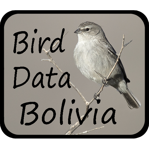 Bird Data - Bolivia