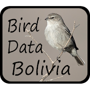 Bird Data - Bolivia