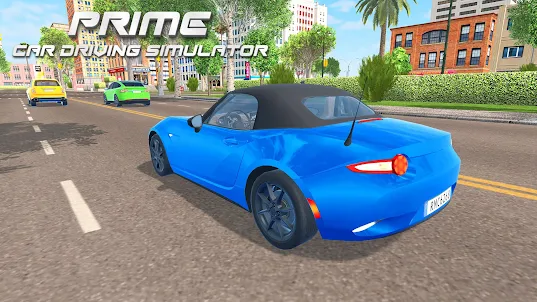 Prime Car Driving Simulator 24