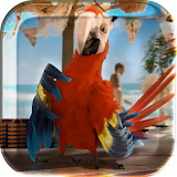 Macaw Parrot Live Wallpaper icon