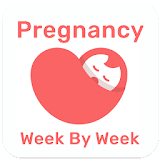 Pregnancy Week By Week Guide icon