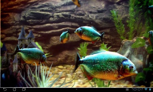 Captura de tela do Piranha Aquarium 3D lwp