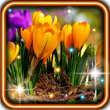 Flowers Spring live wallpaper icon