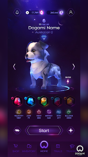 DOGAMÍ Academy Screen 2