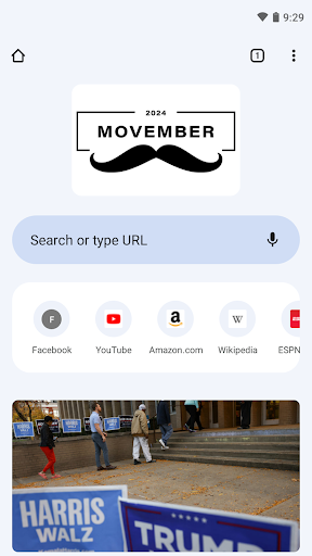 Screenshot of Internet