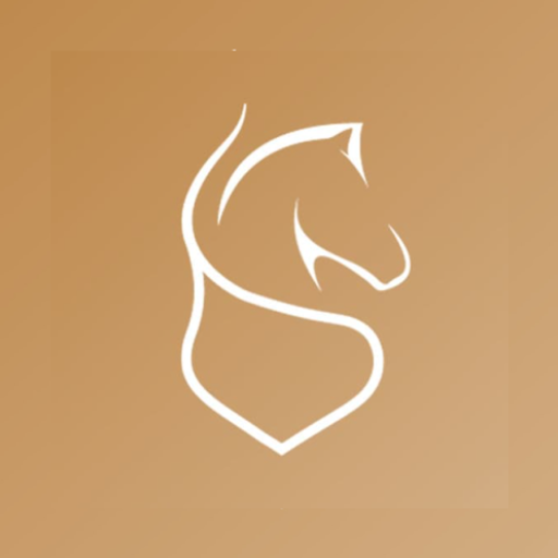 SpiritGym logo