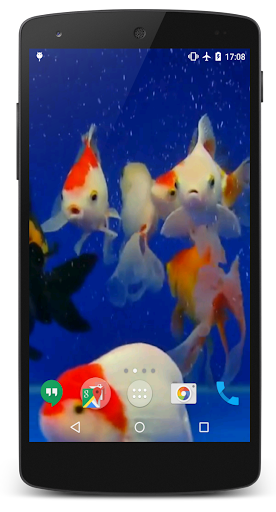 3D Fishes Video Live Wallpaper Screen 2