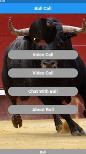 Bull call simulator