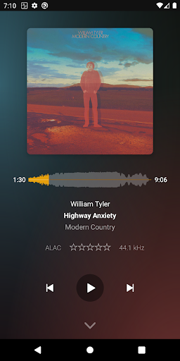 Screenshot of Plexamp