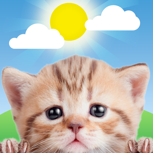 Weather Kitty - App & Widget 5.8.6 Icon