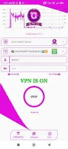 GUPTA VIP VPN