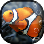 Fish Aquarium Live Wallpaper Apk